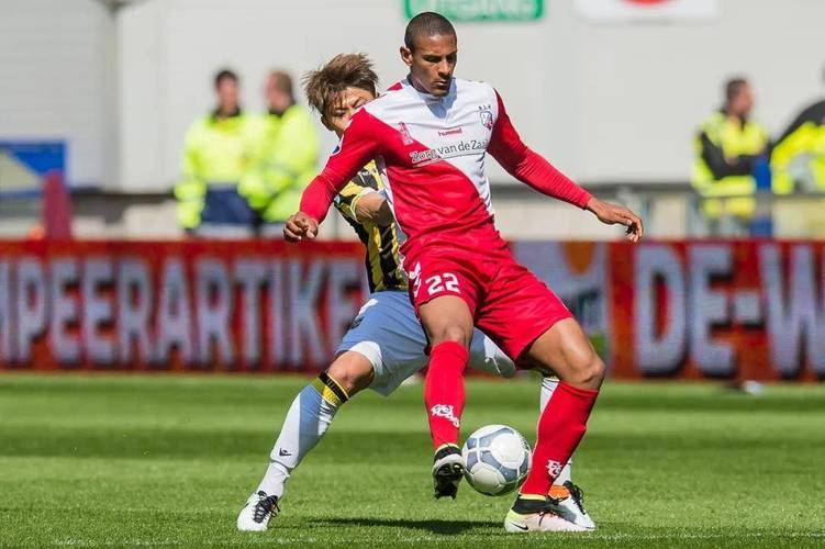 的新鲜血液 的新鲜血液