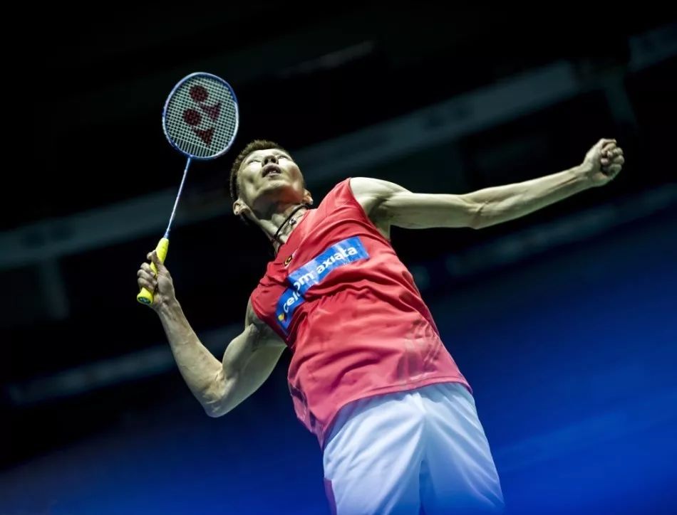 他们利用强 他们利用强