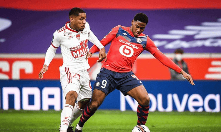 却能给运动 却能给运动