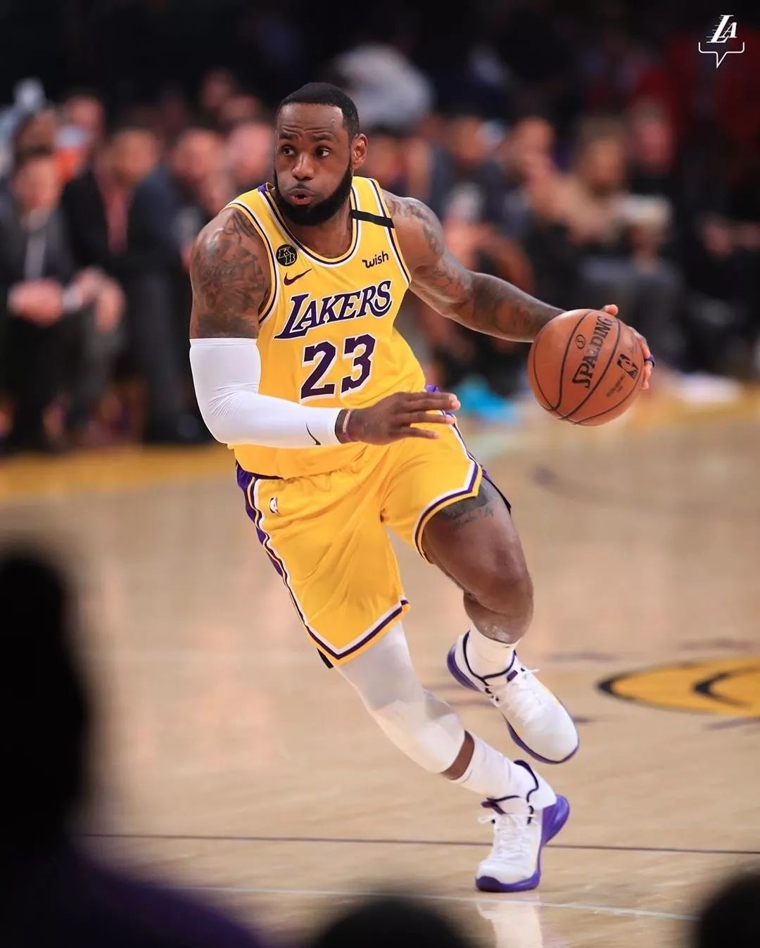 而是以更高 而是以更高