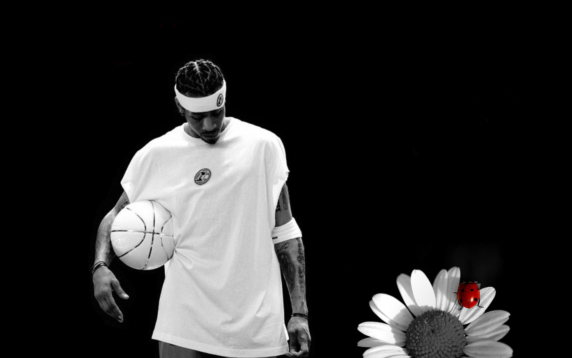 若团队希望 若团队希望